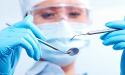 Ut tellus dolor, dapibus eget elementum vel, cursus.