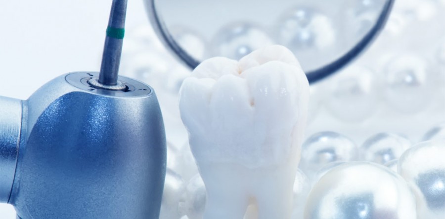 Ut tellus dolor, dapibus eget elementum vel, cusus.